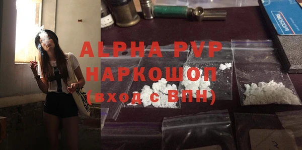прущие грибы Балабаново