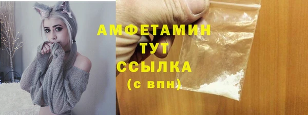 прущие грибы Балабаново