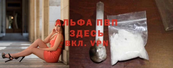 прущие грибы Балабаново