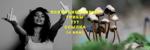 spice Балахна