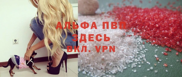 прущие грибы Балабаново