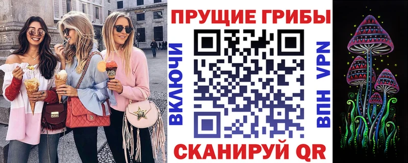 Галлюциногенные грибы Cubensis  Купить где  Видное 